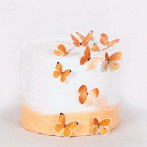 Autumn Butterflies Cake