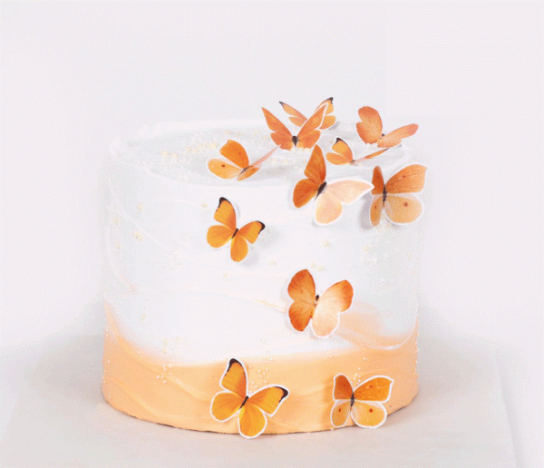 Autumn Butterflies Cake