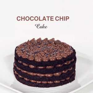 Chocolate Chip
