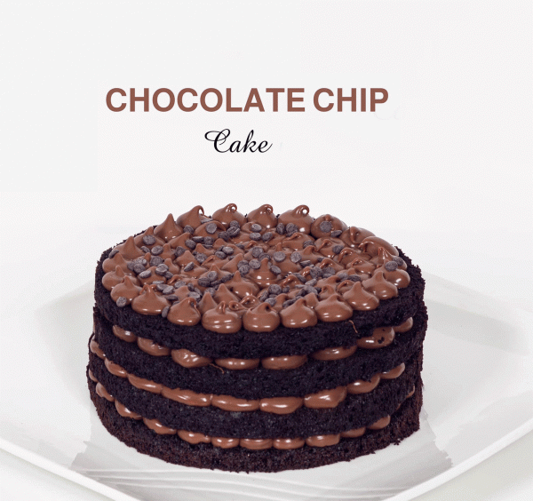 Chocolate Chip